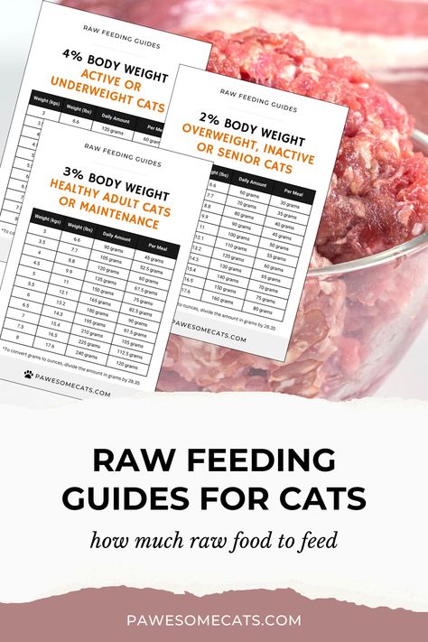 Are you unsure how much raw food to feed your cat? Check our raw feeding guides, easy-to-read charts based on 2-4% of your cat's body weight. We also include raw feeding guidelines for active, growing kittens. Raw Cat Food Diet Recipes, Raw Diet For Cats Food Recipes, Kitty Health, Cat Raw Food Diet, Raw Foods For Cats, Homemade Raw Cat Food, Raw Feeding For Cats, Raw Cat Food Diet, Raw Feeding Cats