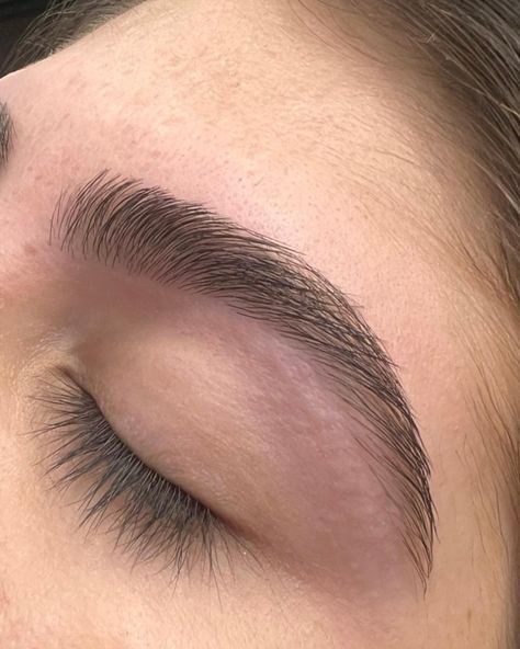 Thick Black Eyebrows, Nice Thick Eyebrows, Threading Eyebrows Shape, Threaded Eyebrows Before And After, Eyebrow Shaping For Thick Eyebrows, Eyebrow Threading Aesthetic, Brows Before And After, Eyebrow Threading Before And After, Nice Eyebrows