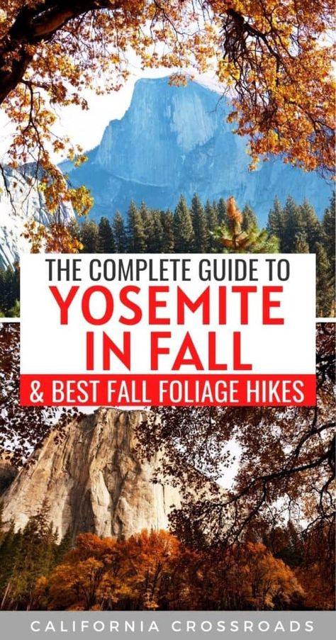 Fall Travel Destinations, Yosemite Hikes, California Fall, Fall Hikes, Yosemite Trip, California Hikes, Travel California, Yosemite Falls, Usa Travel Guide