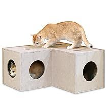 Tubes And Tunnels, Cat Hideaway, Felt Cat Toys, Track Toy, Mouse Toy, Indoor Cats, Lots Of Cats, Cat Tunnel, Kittens Playing