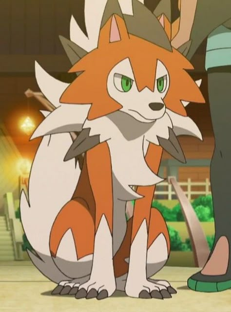 Lycanroc Screenshot Pokemon Lycanroc Dusk, Lycanroc Pfp, Dusk Lycanroc, Lycanroc Dusk, Pokemon Lycanroc, Rockruff Pokemon, Pokemon Amv, Pokemon Sketch, Pokemon People