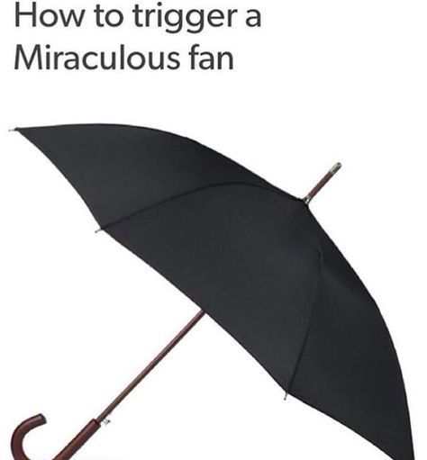 you show me a BLACK umbrella... I might burst into tears and then run away muttering, "The umbrella.... Marinette.... Adrien!" Yes. give a black umbrella to a Miraculer... and it'll trigger them Mens Umbrella, Large Umbrella, Ladybug And Cat Noir, Black Umbrella, Hetalia Fanart, Rain Protection, Canopy Design, Umbria, A Button