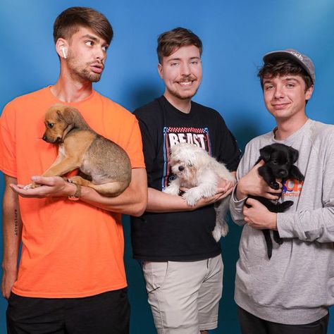 MrBeast on Instagram: "We adopted every dog in a packed dog shelter! It’s probably my favorite video, go watch! :)))" Mr Beat, Beast Friends, Dog Shelter, Mr Beast, Best Gaming Wallpapers, Karl Jacobs, Mr. Beast, Mr Bean, Man Child