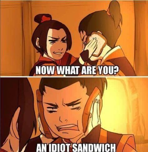 Zuko And Azula, Avatar Azula, Atla Memes, Sibling Love, Avatar Zuko, Avatar The Last Airbender Funny, Avatar Funny, Avatar Series, The Last Avatar