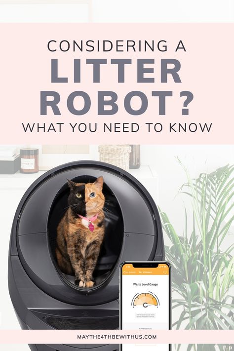 Litter Box Self Cleaning, Best Self Cleaning Cat Litter Boxes, Cat Litter Box Robot, Automatic Cat Litter Box Ideas, Best Litter Box Cat, Automatic Litter Box Cats, Self Cleaning Litter Box Cats, Richy Rich, Cat Liter