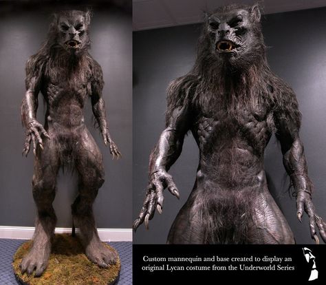 Custom display for an original Lycan costume from the Underworld series.  Visit our site for more like this... Underworld Werewolf, Underworld Movies, Werewolf Costume, Cowboys And Angels, Arte Alien, Werewolf Art, Vampires And Werewolves, Horror Monsters, Classic Monsters