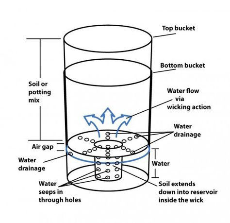 A sub-irrigating container design based on 2 5-gallon buckets. Wicking Pots, Garden Ideas Recycled, Bucket Garden Ideas, Diy Self Watering Planter, Vegetables Growing, Bucket Garden, Allotment Ideas, Plant Watering System, Self Watering Containers