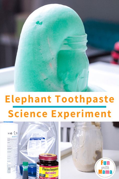 Elephant Toothpaste Experiment For Kids, How To Make Elephant Toothpaste, Diy Elephant Toothpaste, Elephant Toothpaste Experiment, Elephant Toothpaste, Science Birthday, Kid Experiments, Stem Steam, Science Activities For Kids