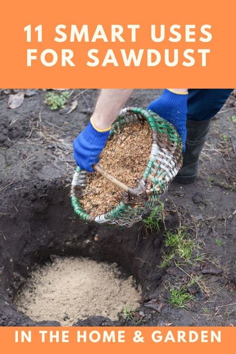 Here are some brilliant ways to use sawdust in your home and garden. Uses For Sawdust, Storing Root Vegetables, Sawdust Uses, Tree Mulch, Growing Mushrooms At Home, Garden Fertilizer, Blueberry Bushes, Front House Landscaping, Vegetable Garden Design