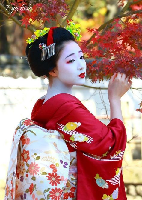 Maiko Art Geisha, Blossom Photography, Geisha Makeup, Memoirs Of A Geisha, Afrique Art, Geisha Art, Japanese Dress, Japon Illustration, Japanese Geisha