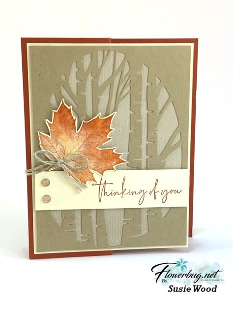 Perched In A Tree, Fall Greeting Cards, Aspen Tree, Leaf Cards, Nature Card, Tree Stamp, Aspen Trees, Crumb Cake, Tree Cards