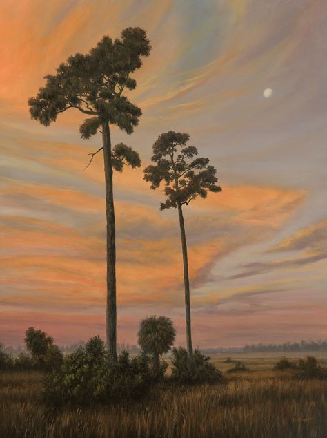 Florida Landscape Paintings, Florida Oil Painting, Florida Gothic, Florida Artwork, Florida Trees, Florida Nature, Florida Landscape, Space Camp, Florida Artist