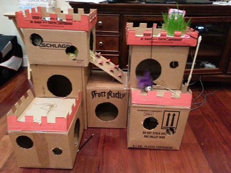 Cat House Diy Cardboard, Cardboard Forts, Katt Grejer, Cardboard Cat House, Cat Castle, Cat House Diy, Diy Cat Toys, Cat Condo, Cat Box