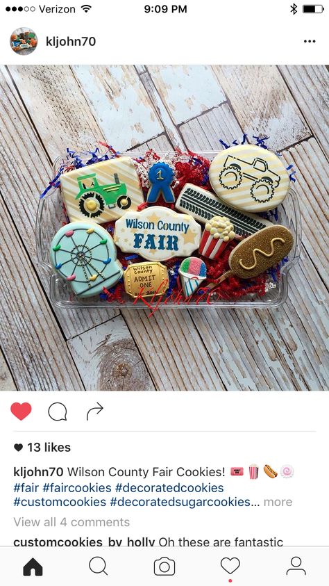 Fair Cookies, Cookie Carnival, County Fair Theme, Circus Cookies, Fair Theme, Summer Designs, County Fair, Summer Design, Cookie Cake