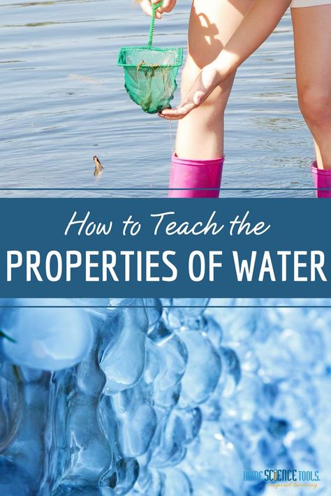 One of the things that makes our planet special is the presence of liquid water. Use these tips from Home Science Tools to teach the properties of water in your #homeschool or #classroom. #sciencelesson #scienceproject #homeschoolingtip Properties Of Water Activities, Three States Of Matter, Ambleside Online, Properties Of Water, Home Science, Study Activities, Water Experiments, All About Water, Science Stem