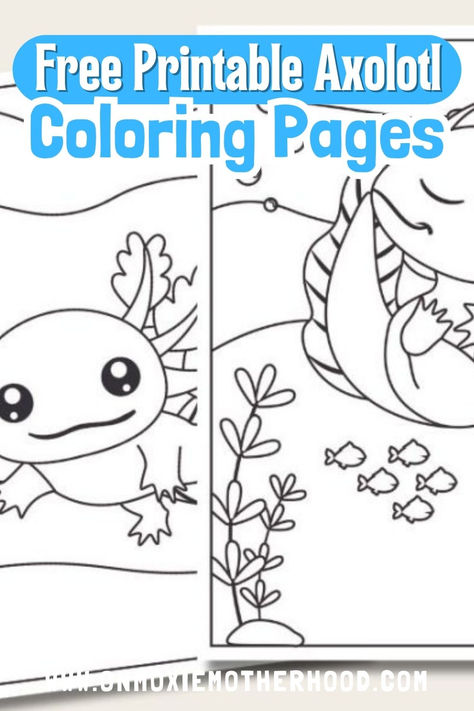 Get ready for some colorful fun with our latest freebie – printable axolotl coloring pages! These adorable creatures are not only fascinating but also incredibly cute, making them perfect for kids of all ages. If your little ones are captivated by axolotls like mine are, they'll adore these free printable coloring pages. Download and print these axolotl coloring pages today for hours of imaginative entertainment! Adorable Creatures, Printables Freebies, Fun For Kids, Free Printable Coloring, Free Printable Coloring Pages, Printable Coloring Pages, Printable Coloring, Cool Kids, Free Printable