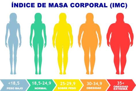 El sobrepeso y la obesidad anulan la fertilidad femenina Bmi Chart, Almond Drink, Tornado Potato, Diet Smoothies, Exercise Science, Sleep Drink, Sleep Hygiene, Asian Beef, Healthy Facts