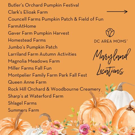 🎃 It’s Pumpkin Patch time! 🎃 Check out our fully updated guide with ALL the best pumpkin patches, festivities, etc. Plus, we have a handy map on the bottom of the guide. Big thanks to our sponsors who made this guide possible! 🧡 @greenstreet_gardens @farmathome @clarkselioakfarm @queen_anne_farm @greatcountryfarms Do you have a favorite pumpkin patch? Be sure to wear close toed shoes, bring water, and a playful, flexible attitude when visiting these farms. These farmers have truly cre... Close Toed Shoes, Best Pumpkin Patches, Pumpkin Festival, Homestead Farm, Pumpkin Patches, Fall Fest, Best Pumpkin, Big Thanks, Autumn Activities