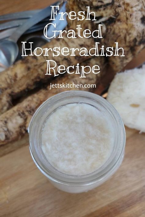 Homemade Prepared Horseradish How To Prepare Horseradish Root, Cipollini Onions Recipes, How To Make Horseradish, Homemade Horseradish, Horseradish Recipes, Cipollini Onions, Fresh Horseradish, Prepared Horseradish, Horseradish Sauce