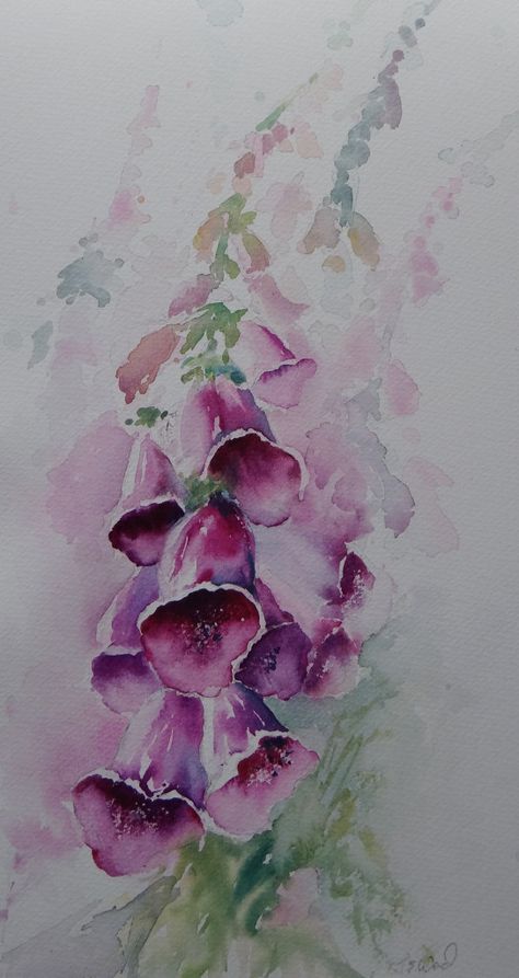 Lakeland Foxglove Foxglove Flower Watercolor, Foxgloves Painting, Watercolor Foxglove, Foxglove Drawing, Watercolor Flowers Tutorial, Watercolor Paintings For Beginners, Watercolour Inspiration, Watercolor Flower Art, Watercolor Painting Techniques