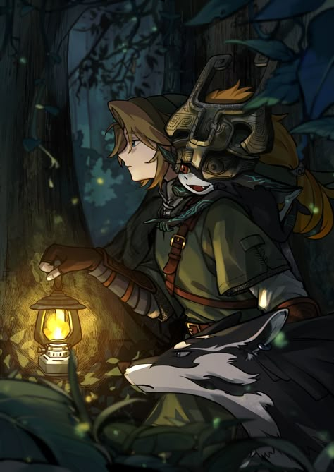 Link Twilight Princess, Link And Midna, Twilight Link, Zelda Fanart, Legend Of Zelda Twilight Princess, Legend Of Zelda Art, Zelda Twilight Princess, Link Art, Zelda Botw