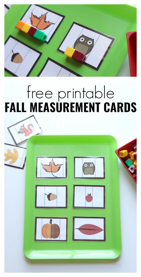 Are you getting ready for the school year yet? This fall math activity for preschool works on so many skills. Non-standard measurement is the first way we teach children to measure things, at first they will compare what is longer or shorter looking at how  long the stack of Unifix cubes is ( or whatever non-standard … Measurement Preschool, Santa Math, Fall Math Centers, Fall Math Activities, Thanksgiving Activities Preschool, Circle Time Activities, Measurement Activities, Thanksgiving Math, Fall Math