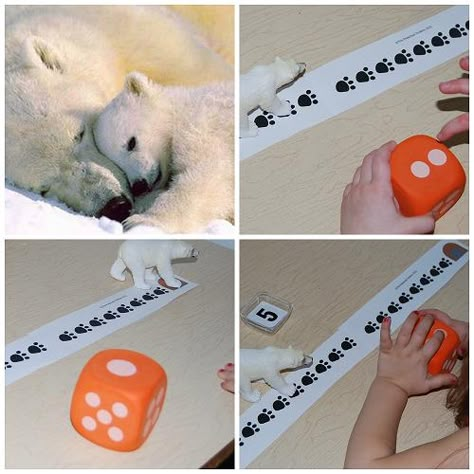 Polar Bear Activities and Books for Preschool! • The Preschool Toolbox Blog Polar Animals Preschool Activities, Polar Bear Games, Polar Bear Activities, Polar Bear Unit, Animals Preschool Activities, Polar Animals Preschool, Polar Bears Activities, Arctic Animals Preschool, Polar Bear Theme