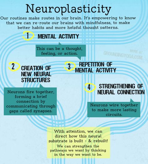 Neuroplasticity simplified. How to habits get wired in the brain & how can we rewire? Neuro Plasticity, Interactive Metronome, Brain Plasticity, Neuro Science, School Wellness, Mental Resilience, Jack Welch, Brain Based Learning, Craniosacral Therapy