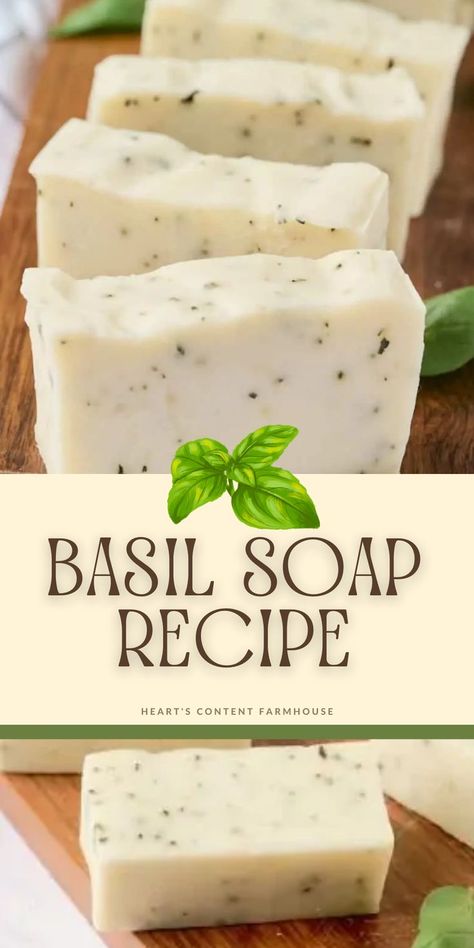 Basil Essential Oil Recipes, How To Make Basil Essential Oil, Dried Basil Recipes, Basil Soap Diy, Basil Oil Recipe, Basil Medicinal Uses, Things To Make With Basil, Basil Uses, Basil Soap