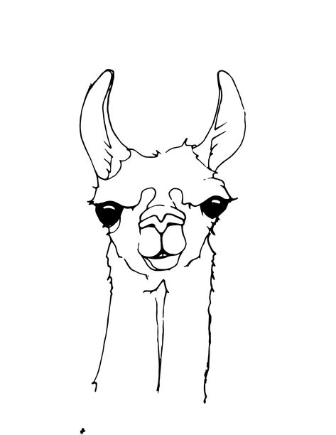 While not portraying the single line drawing, it demonstrates the line art style and stylized drawing of a llama Llama Coloring Page, Llama Tattoo, Alpaca Drawing, Llama Drawing, Cartoon Llama, Llama Painting, Llama Face, Llama Arts, Face Line Drawing