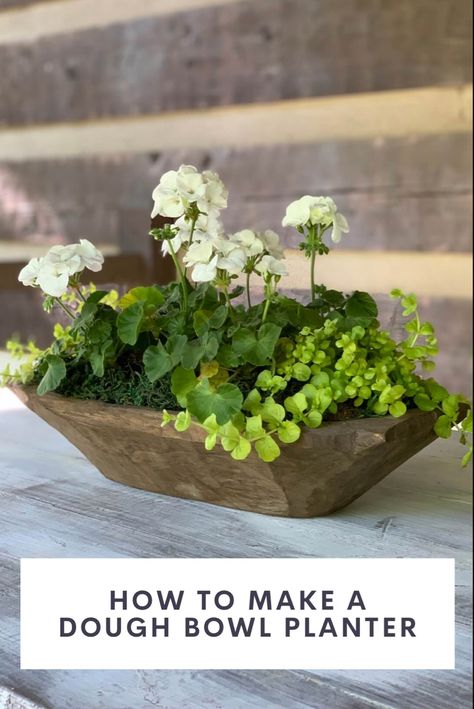 A wood dough bowl used as a planter for white geraniums and creeping jenny Dough Bowl Planter, Summer Dough Bowl Decor, Creeping Jenny Plant, Dough Bowl Centerpiece, Wood Dough Bowl, Planter Centerpiece, Container Garden Ideas, Geranium Plant, Bowl Decor