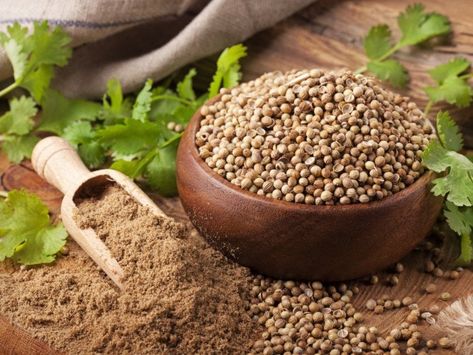 Usus Besar, Garam Masala Curry, Growing Coriander, Coriander Essential Oil, Edible Seeds, Caraway Seeds, Coriander Powder, Coriander Leaves, Coriander Seeds