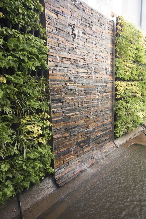 Retirement village restaurant green wall and waterfall Restaurant Waterfall, Waterfall Indoor, Indoor Waterfall Wall, Wall Waterfall, Bamboo Restaurant, Vertical Garden Systems, Acoustic Barrier, Retirement Village, Design Backyard