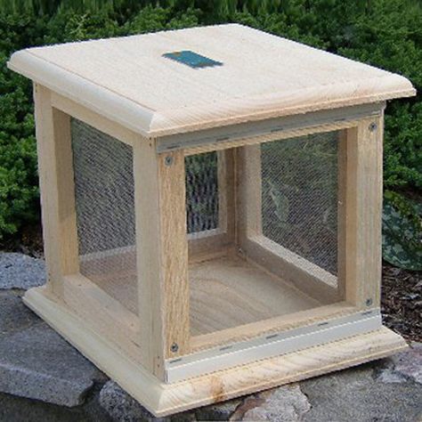 Coveside Conservation Freestanding Wood Butterfly House Butterfly Food, Butterfly Feeders, Magical Transformation, Butterfly Houses, Wood Butterfly, Eastern White Pine, Garden Coffee Table, Butterfly House, Bird Boxes