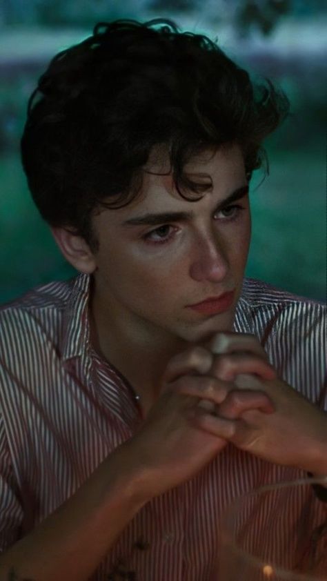 Timmy Chalamet, Istoria Artei, Lil Timmy Tim, Timmy T, Regulus Black, Call Me By Your Name, The Perfect Guy, Dylan O'brien, Timothee Chalamet