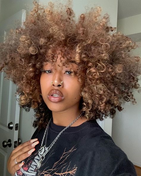 Dyed Afro, Dyed Natural Hair, Daily Hairstyles, Hair Laid, Afro Hair, Baddie Hairstyles, Hair Inspo Color, Afro Hairstyles, Black Girls Hairstyles