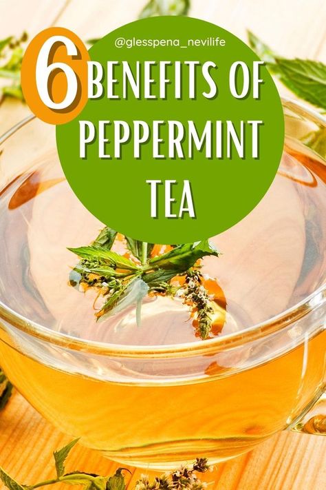 6 Benefits of Peppermint Tea. Peppermint herbal tea helps to protect herbal life style. There are more health tips. If you wonder about these herbal tea benefits lets check it together. Benefits Of Peppermint Tea, Benefits Of Peppermint, Peppermint Tea Benefits, Tea Before Bed, Herbal Tea Benefits, Spearmint Tea, Ceylon Tea, Peppermint Tea, Tea Benefits