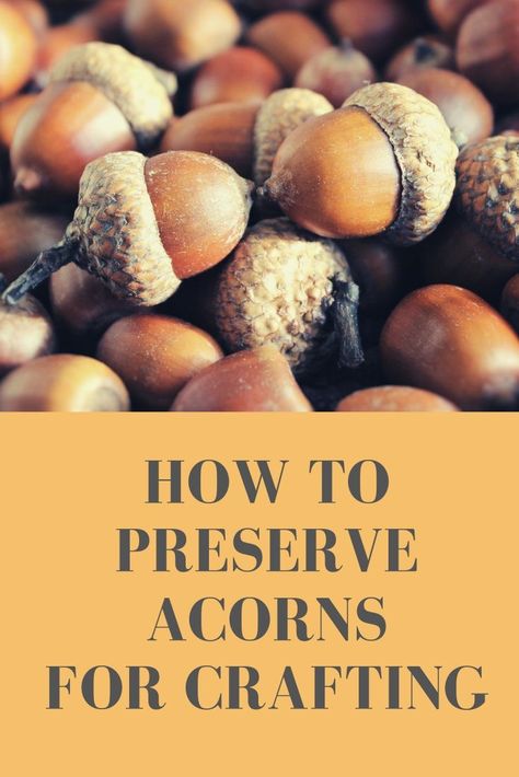 Preserve Acorns, Dried Acorns, Fall Crafts For Adults, Acorn Decorations, Presente Diy, Acorn Crafts, Crafts For Teens To Make, Cool Wood Projects, Cones Crafts