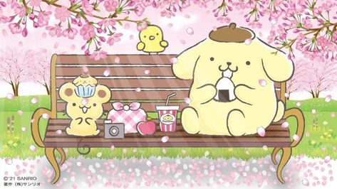 Pompompurin Wallpaper, Toro Inoue, Cute Laptop Wallpaper, Ipad Background, Sanrio Wallpaper, Hello Kitty My Melody, Hello Kitty Items, Pretty Wallpaper Iphone, Laptop Wallpaper