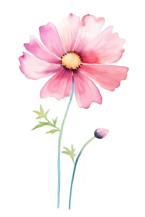 Cosmos blossom flower petal. AI generated Image by rawpixel. | free image by rawpixel.com / Aum Cosmos Flower Illustration, Pink Watercolor Background, Plant Watercolor, Cosmos Flowers, Flower Petal, Paint Art, Flower Plant, Anime Scenery Wallpaper, Pink Watercolor