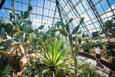 https://www.todocanada.ca/edmontons-landmark-muttart-conservatory-close-18-months-july/ Muttart Conservatory, Words Meaning, Garden Tropical, Public Realm, Folk Festival, Land Use, Public Space, Family Pictures, Amazing Gardens