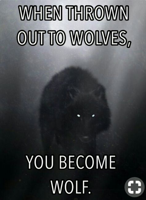 I Now Know My Purpose Since God Threw Me To The Wolves... Lead The Tribe Of Benjamin. 🐺🥋⚓☸ Wolf Code, Wolf Wisdom, Wolves Quotes, Tribe Of Benjamin, Wolf Pack Quotes, Wolf Heart, Inspirational Animal Quotes, Truthful Quotes, Creepy Quotes