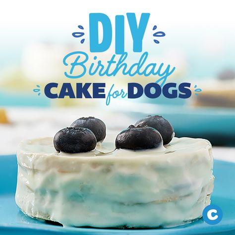 Dog Birthday Cake No Flour, Birthday Cake For Dogs Recipes, Blueberry Dog Cake, Birthday Cake For Dogs Recipes Easy, Dog Birthday Cake Without Peanut Butter, Dog Birthday Cake Blueberry, Dog Food Station, Puppy Diy, Diy Cake Topper Birthday