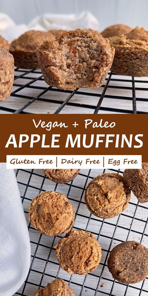 These healthy Applesauce Muffins make a great snack for babies and toddlers. They are gluten free, Paleo, Vegan friendly and don't contain any added sugar - only sweetened with applesauce. #applemuffins #toddlermuffins #allergyfriendly Vegan Paleo Muffins, Paleo Applesauce Muffins, Paleo Toddler Meals, Paleo Applesauce, Gluten Free Applesauce Muffins, Vegan Applesauce Muffins, Gluten Free Breakfast Muffins, Vegan Apple Muffins, Healthy Applesauce