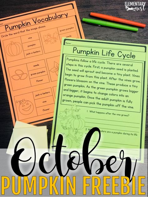 Pumpkin Day Second Grade, Pumpkin Informational Writing, Pumpkin Reading Activities, Lesson Plan Themes, October Homeschool, October Science, October Lesson Plans, Library Halloween, October Writing