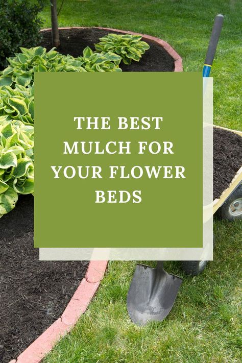 In a flower garden, mulch has benefits that are both practical and aesthetic. Find out which types of materials make the best mulch for flower gardens. How To Plant Flowers In Mulch, Mulched Flower Beds, Best Mulch For Flower Beds, Flower Bed Filler Ideas, Mulch Flower Beds, Makeup Looks Winter, Christmas Makeup Simple, Christmas Party Makeup, Garden Mulch