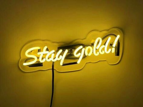 Kaleb Aesthetic, Gold Neon Sign, Dominique Cosmetics, Twt Header, Gold Everything, Bts Vmin, Golden Boy, Stay Gold, Gold Aesthetic