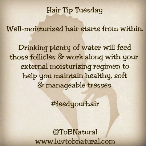 Hair Tip Tuesday Tip Tuesday Hair, Monat Tip Tuesday, Hair Tip Quotes, Hair Tips Tuesday, Hair Tip Tuesday Quotes, Hair Tip Tuesday, Makeup Tip Tuesday, Hair Stylist Tips, Hair Salon Marketing