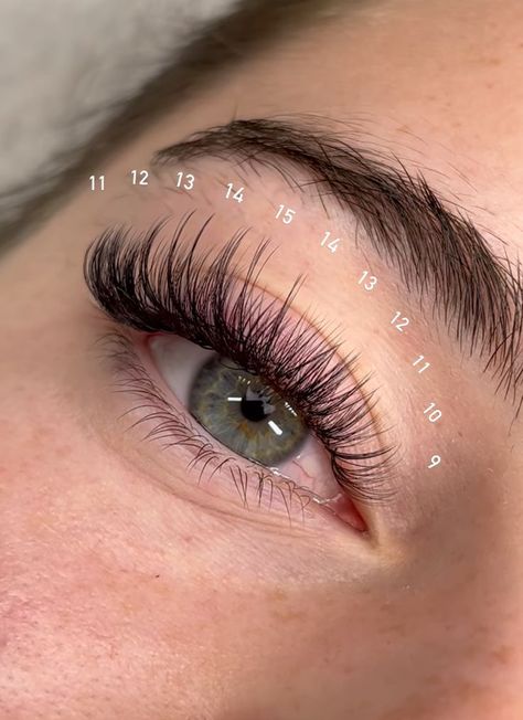 Dramatic Hybrid Lash Extensions, Eyelash Extensions With Numbers, Eyelash Extensions Numbers, Lash Maps Hybrid, 13mm Lash Extensions, Eyelash Extensions Styles With Numbers, D Curl Lash Extensions Mapping, Natural Full Lash Extensions, Full Lashes Extensions