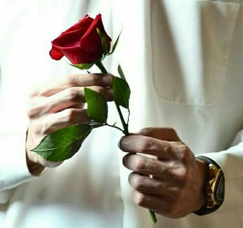 Rose In Hand, Hands Holding Flowers, Red Roses Wallpaper, Muslim Images, Beautiful Flowers Photography, Good Night Friends, Rosé Aesthetic, Hand Flowers, Rose Images